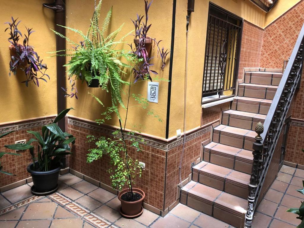 Toledo Family Vista Apartment Exterior photo